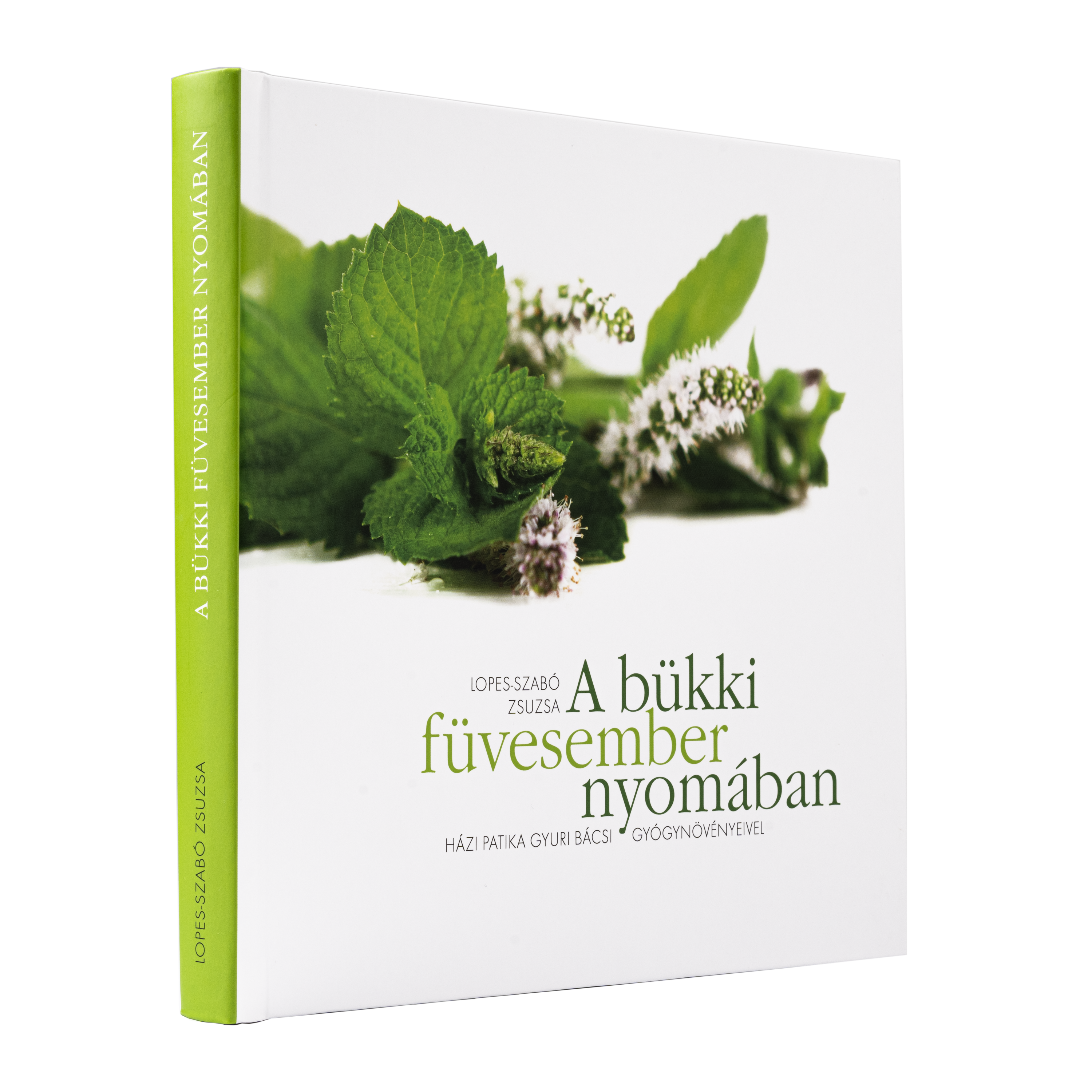 A bükki füvesember nyomában (B2B)