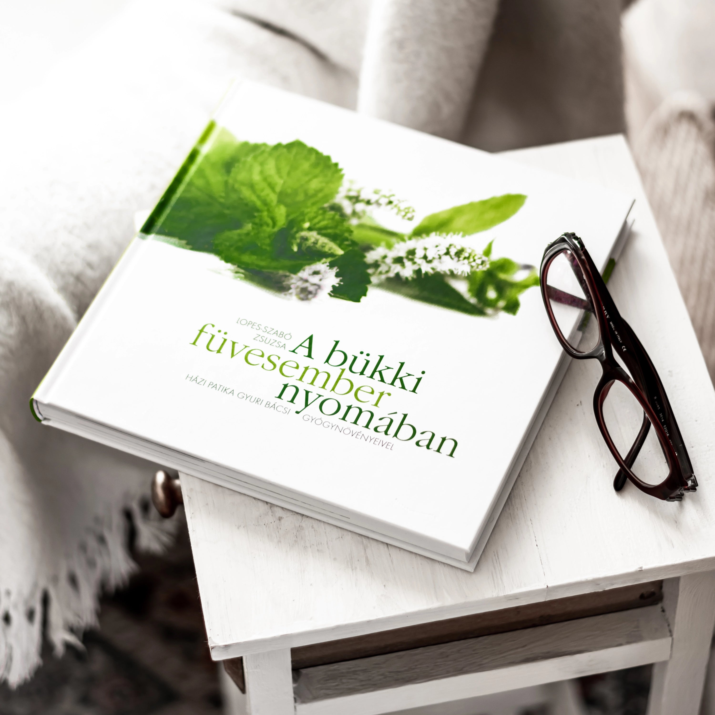 A bükki füvesember nyomában