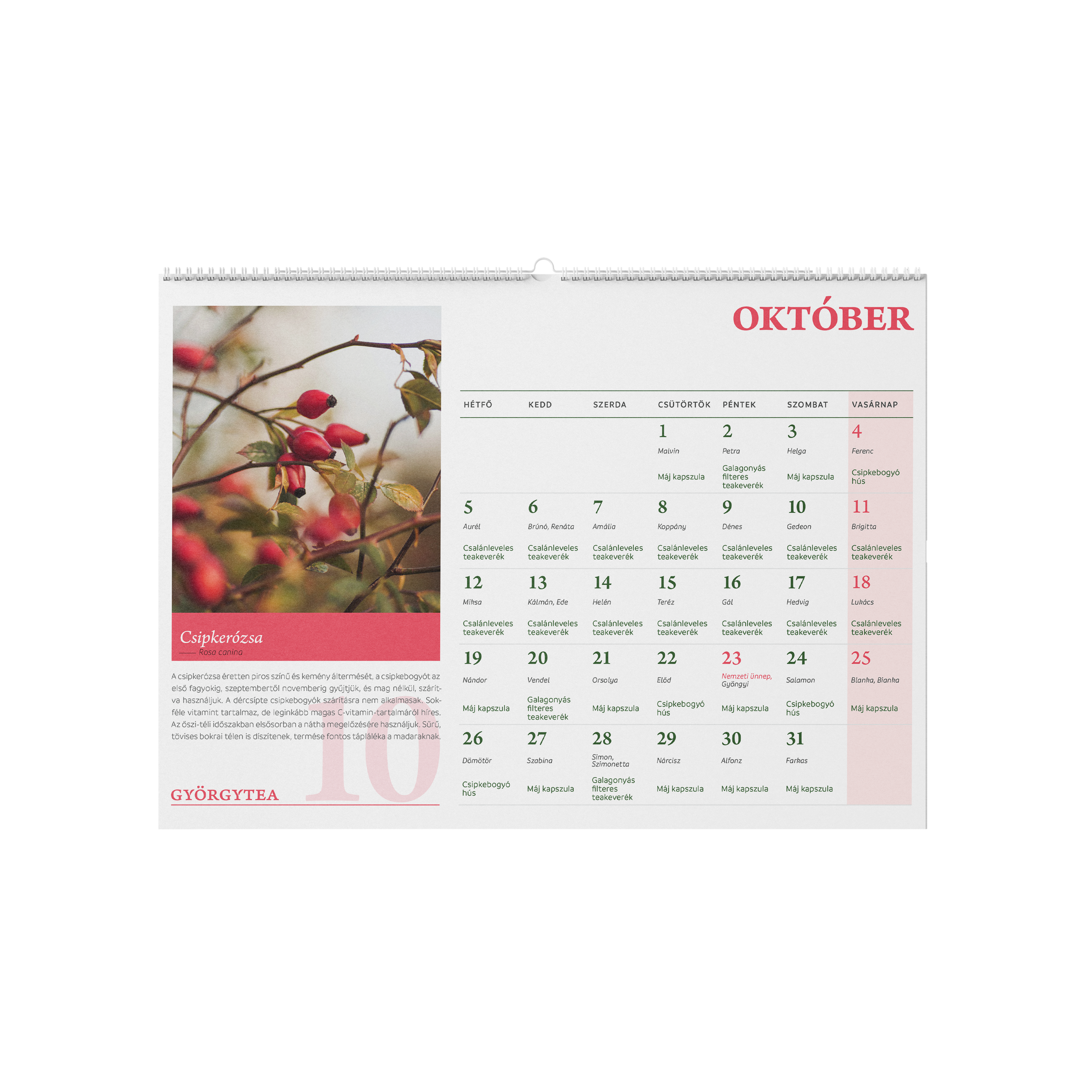 Györgytea egészségnaptár 2026