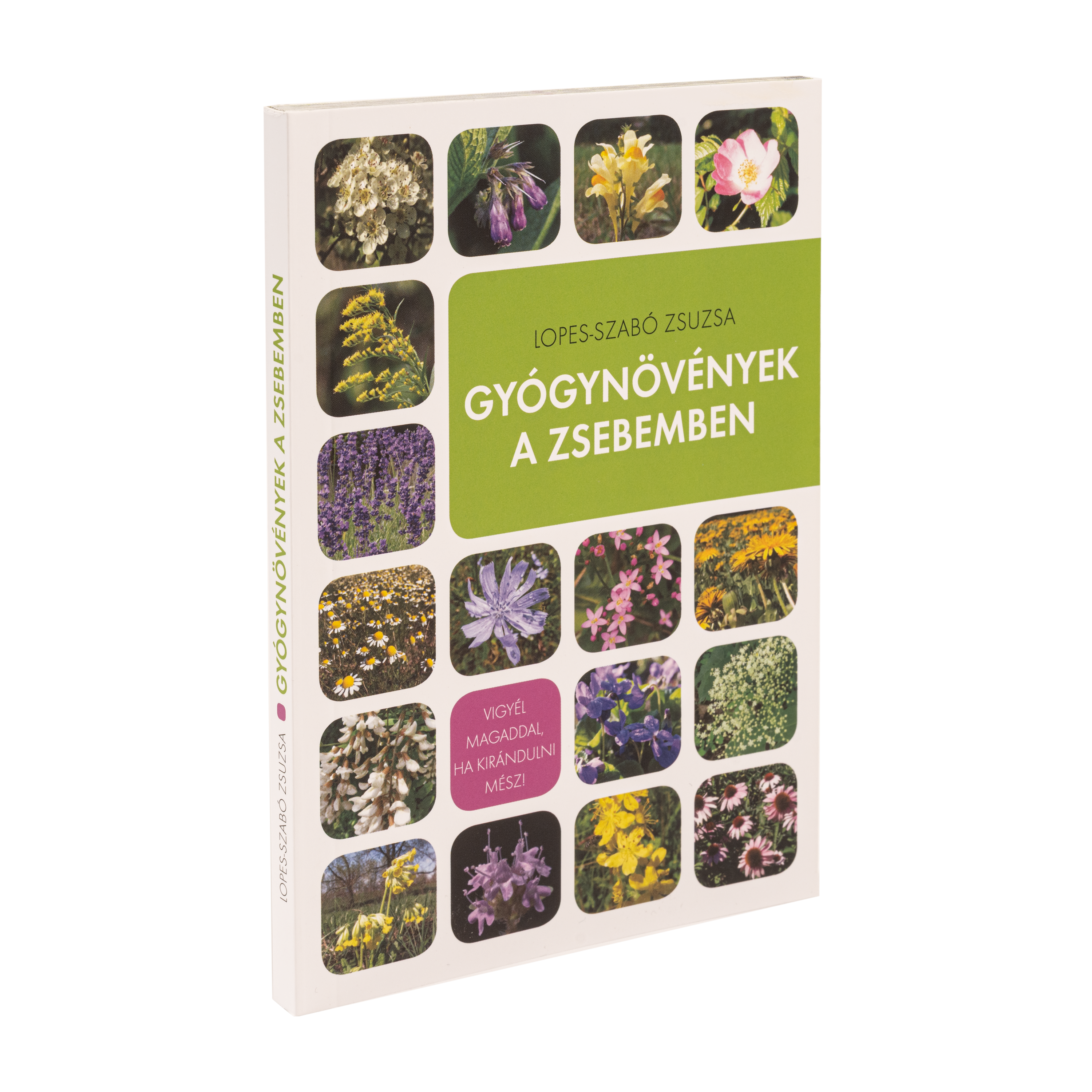 Gyógynövények a zsebemben (B2B)